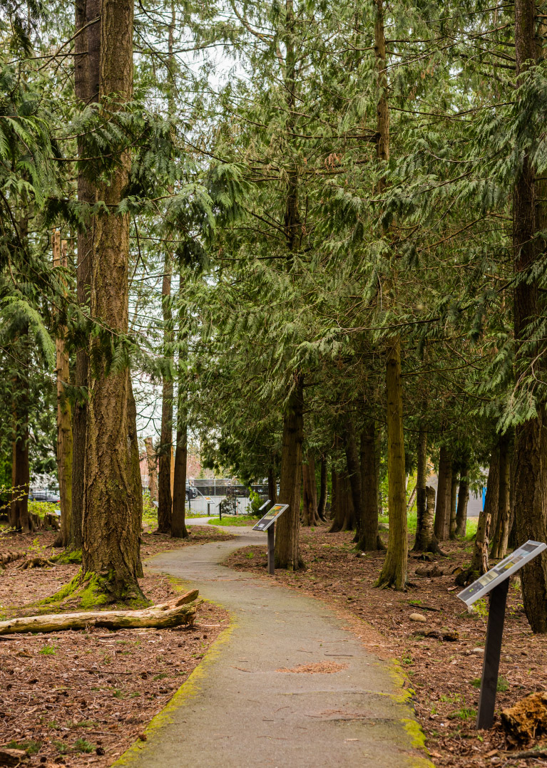 Stroll through nature at Annieville Lions Park.