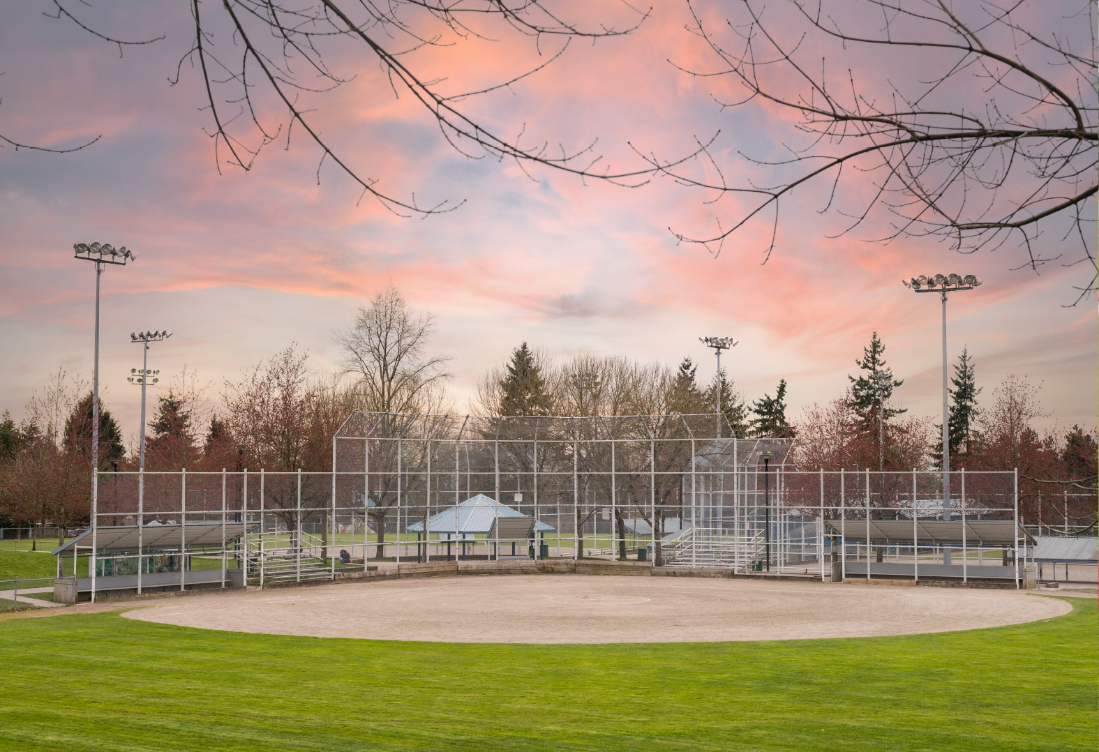 Find your stride at North Surrey Ice Complex.
